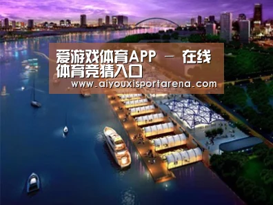 案例展示八