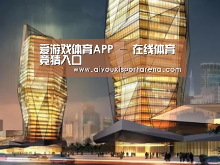 案例展示三