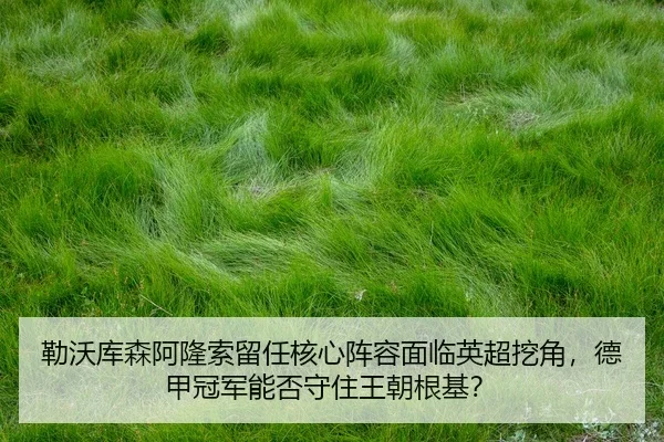 lei-wo-ku-sen-a-long-suo-liu-ren-he-xin-zhen-rong-mian-lin-ying-chao-wa-jiao-de-jia-guan-jun-neng-fou-shou-zhu-wang-3-578.jpg